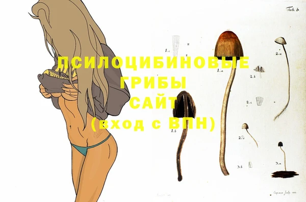 не бодяженный Тутаев