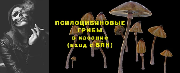 сатива Белокуриха