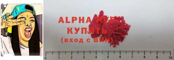 сатива Белокуриха