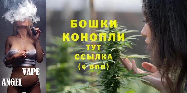 сатива Белокуриха