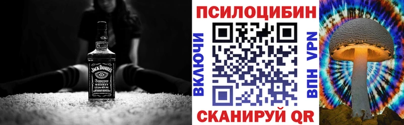 Псилоцибиновые грибы Psilocybine cubensis  Шимановск 